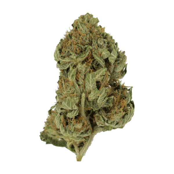 Bubblegum – 1 ounce | HighGradeAid Canada