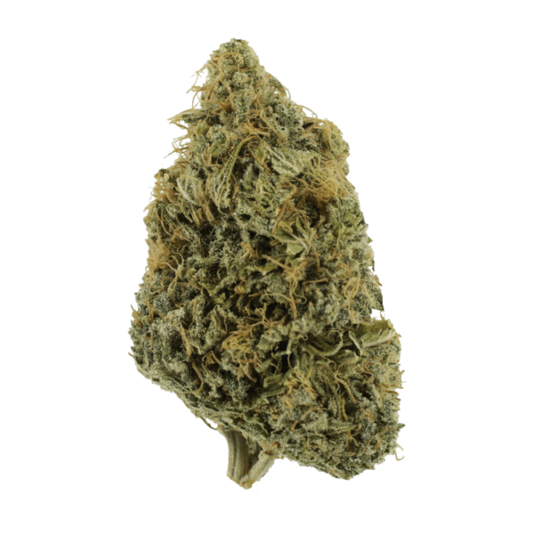 NYC Diesel | HighGradeAid Canada