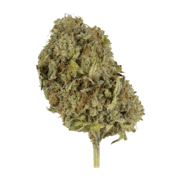 God’s Green Crack | HighGradeAid Canada