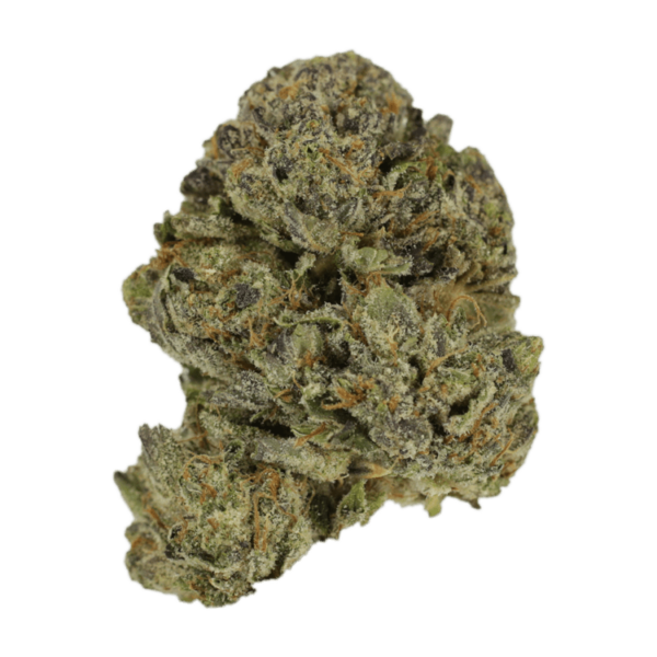 Lavender | HighGradeAid Canada