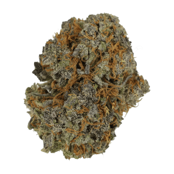 Jack Herer 1 Ounce | HighGradeAid Canada