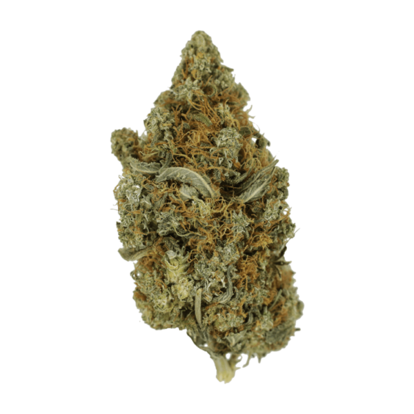 Jack Herer 1 Ounce | HighGradeAid Canada