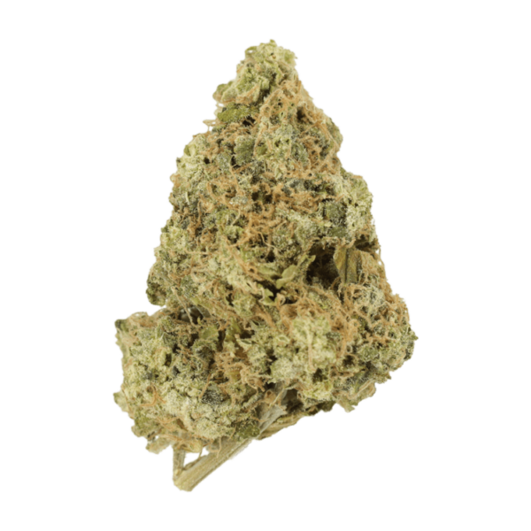 Zombie OG | HighGradeAid Canada