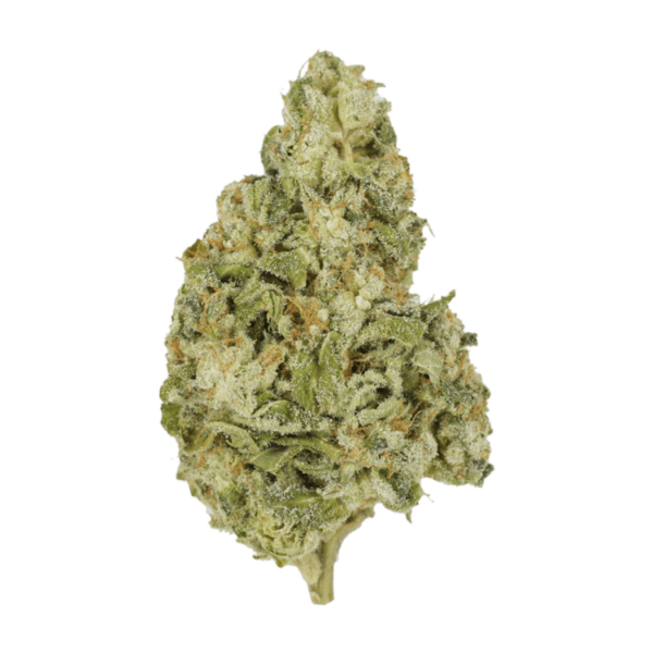 Zombie OG | HighGradeAid Canada