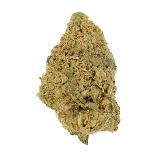 Zombie OG | HighGradeAid Canada
