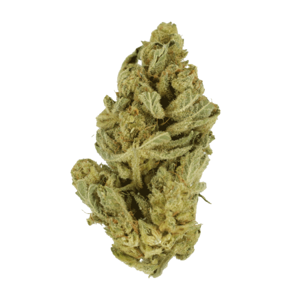 Hindu Kush – 7g | HighGradeAid Canada