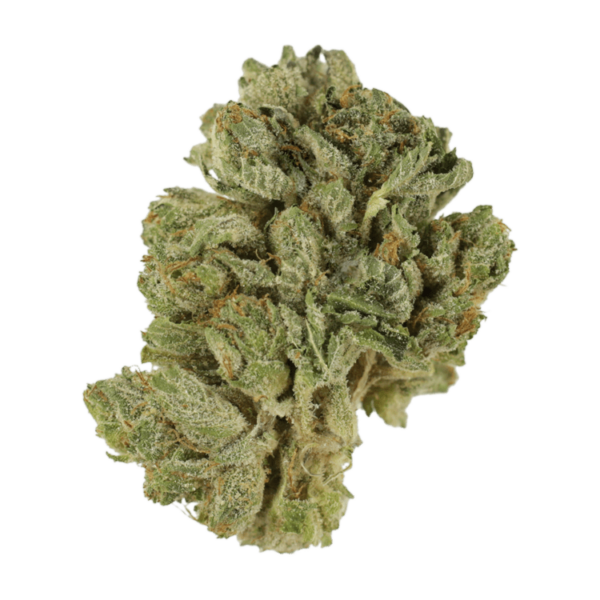 Northern Lights 2 for $69 | HighGradeAid Canada