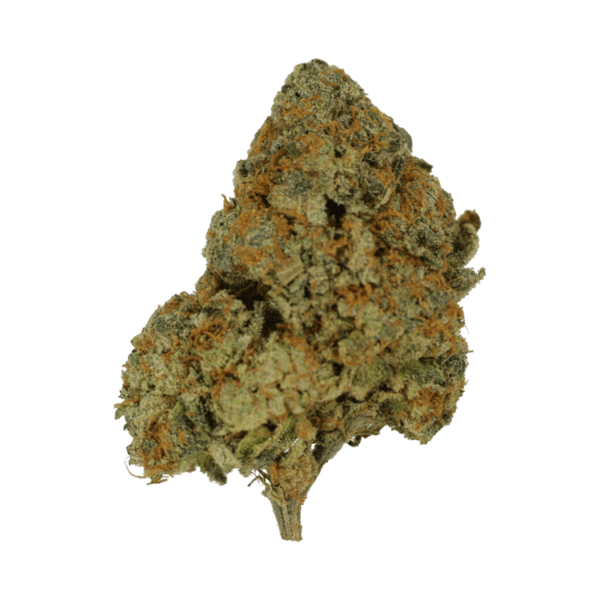 9lb Hammer | HighGradeAid Canada