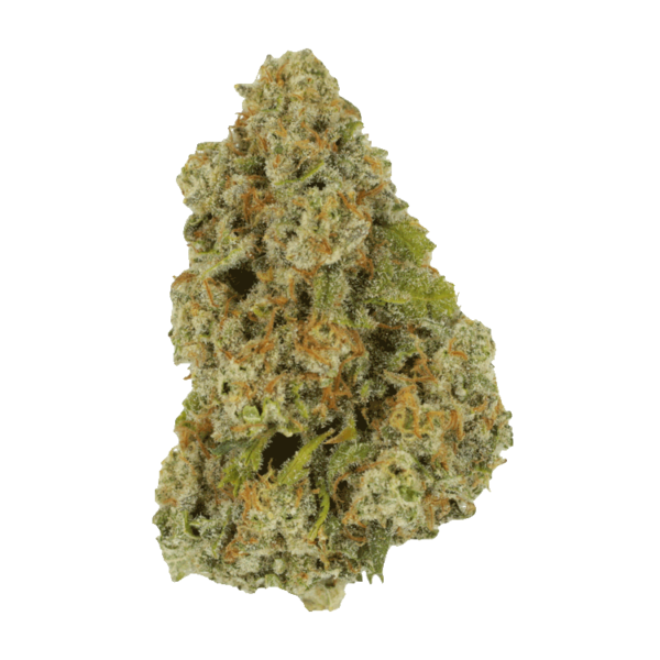 Colorado Diesel | HighGradeAid Canada