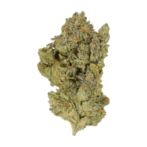 Golden Goat | HighGradeAid Canada