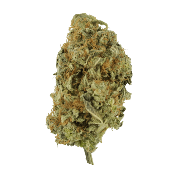 Lollypop – 1 ounce | HighGradeAid Canada