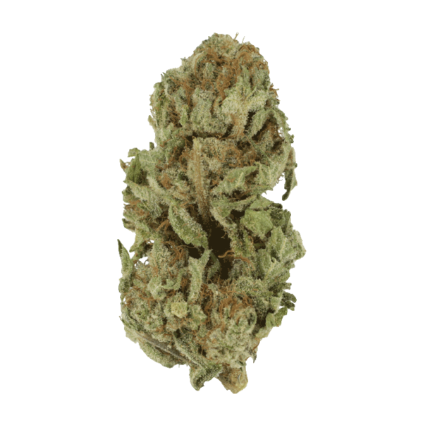Golden Goat | HighGradeAid Canada