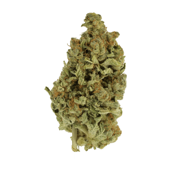 Cali Gold | HighGradeAid Canada