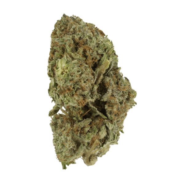 Gelato Sorbet – 1 ounce | HighGradeAid Canada