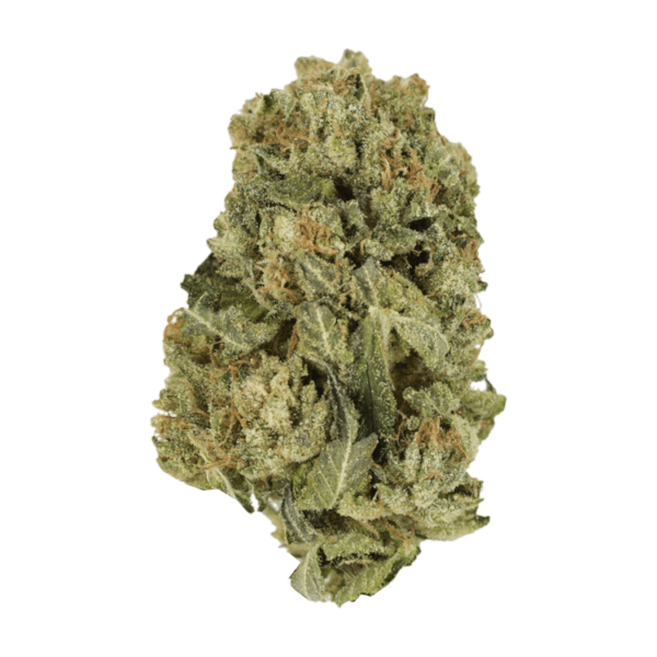 Black Domina | HighGradeAid Canada