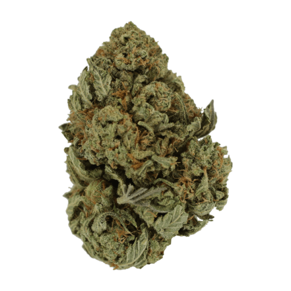 Master Kush Ultra | HighGradeAid Canada