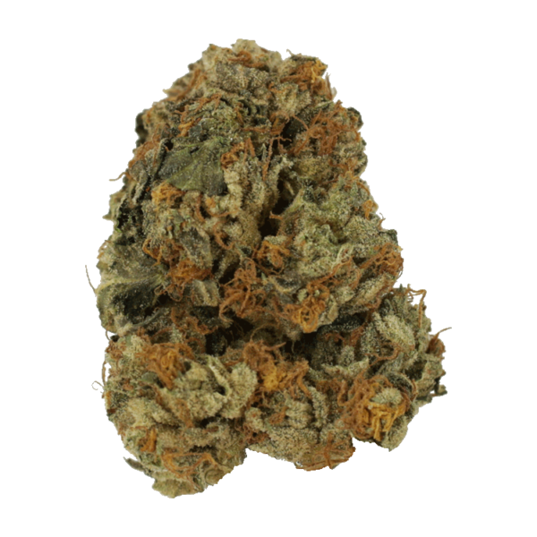 Dolato – 1OZ | HighGradeAid Canada