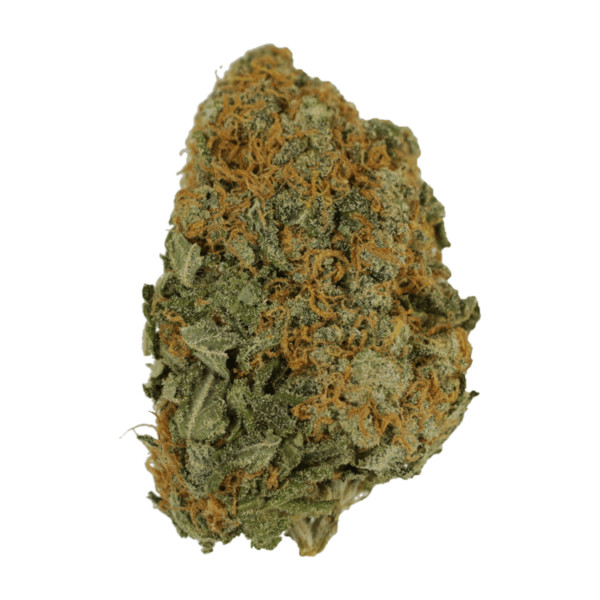Master Kush Ultra | HighGradeAid Canada
