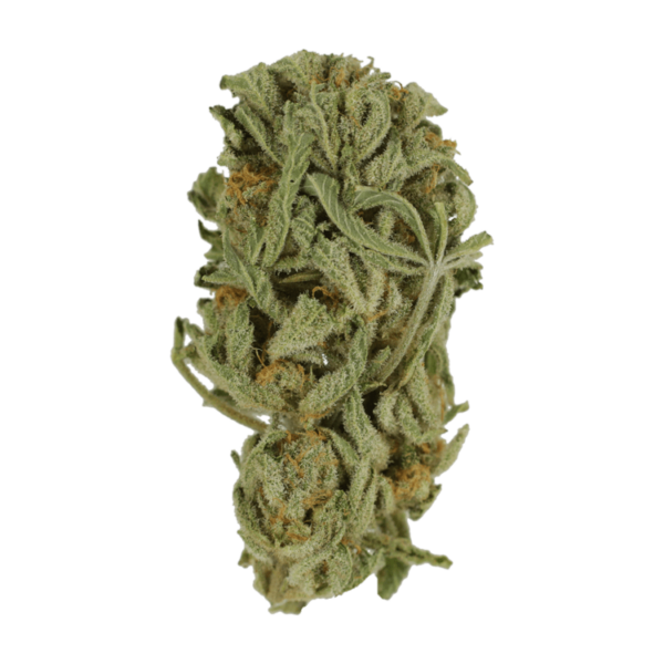 Master Kush Ultra | HighGradeAid Canada