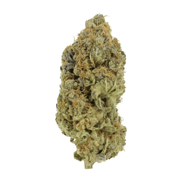 Critical Widow | HighGradeAid Canada