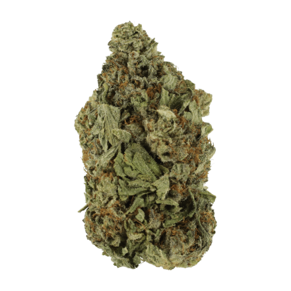 Shishkaberry | HighGradeAid Canada