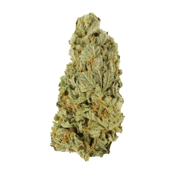 Green Congo | HighGradeAid Canada