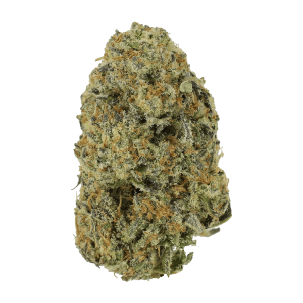 Northern Haze Express | HighGradeAid Canada