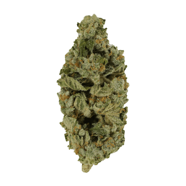 Crazy Glue | HighGradeAid Canada