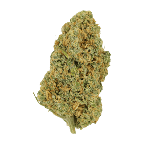 Lemon Bomb | HighGradeAid Canada