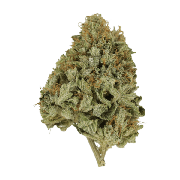 Pineapple Kush | HighGradeAid Canada