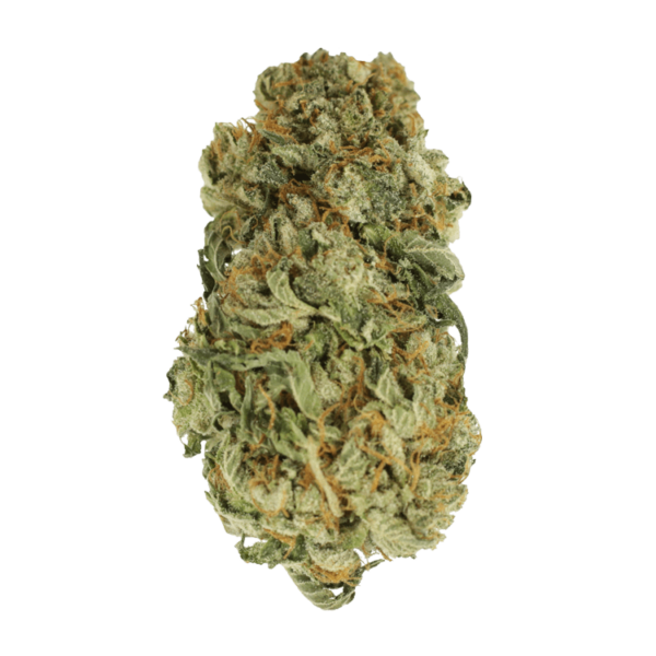 King Louis – 1 ounce | HighGradeAid Canada