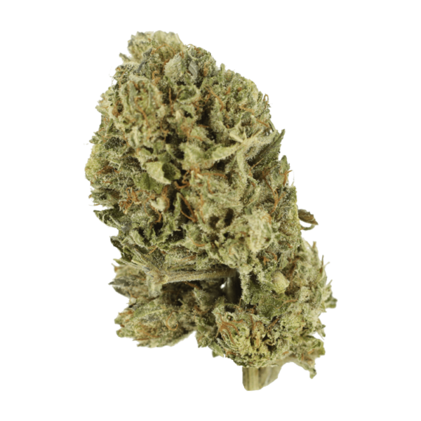 Purple OG Kush – 1 ounce | HighGradeAid Canada