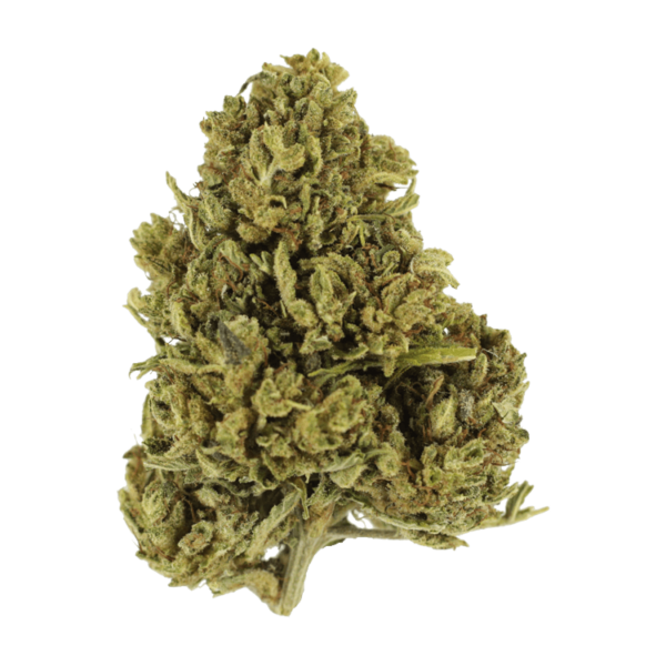 Cherry Wine (CBD) | HighGradeAid Canada