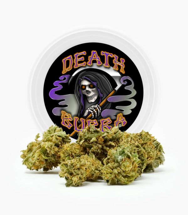 Westcoast Cali Tins – Premium Flower – Skywalker OG – 3.5g | HighGradeAid Canada