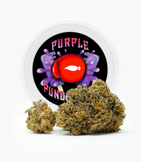 Westcoast Cali Tins – Premium Flower – Purple Punchsicle – 14g | HighGradeAid Canada