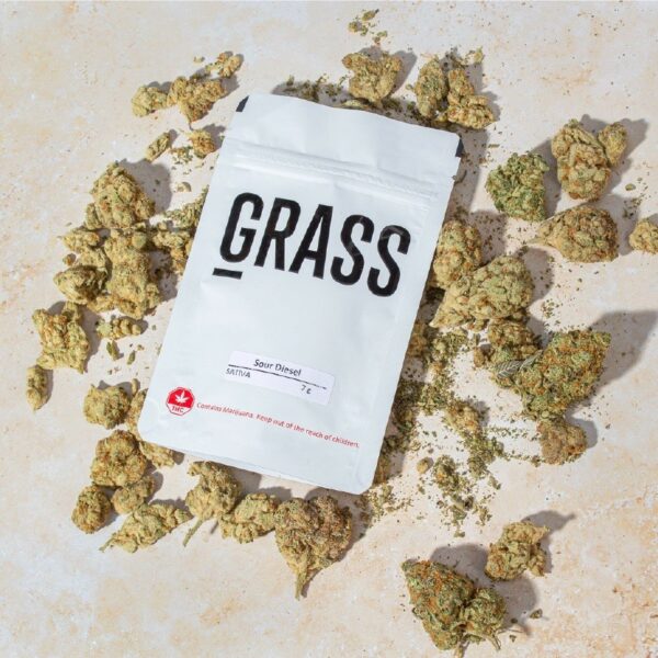 1/2OZ Sample Pack (AAA) – SAVE 20% | HighGradeAid Canada