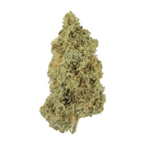 Tropicana Cookies | HighGradeAid Canada