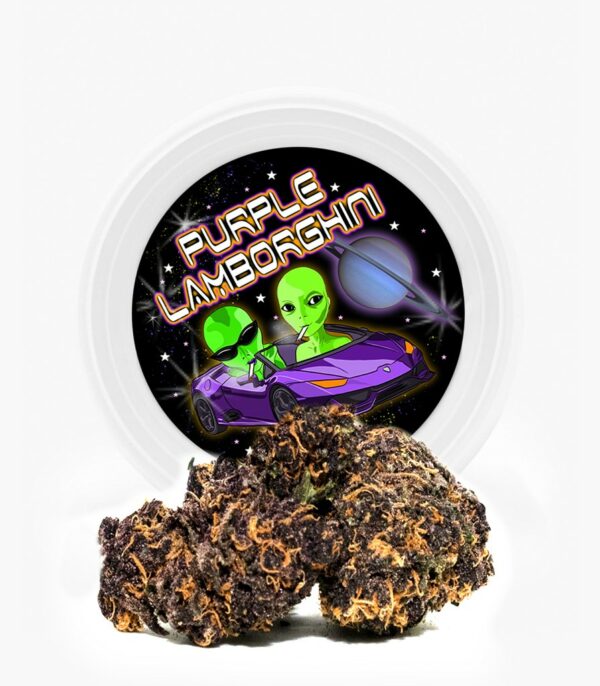 Westcoast Cali Tins – Premium Flower – Purple Lamborghini – 3.5g | HighGradeAid Canada