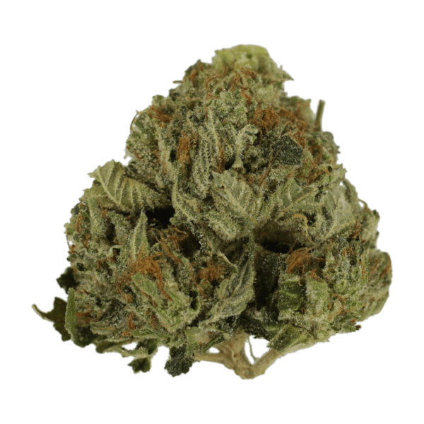 Pink Animal – 1 ounce | HighGradeAid Canada