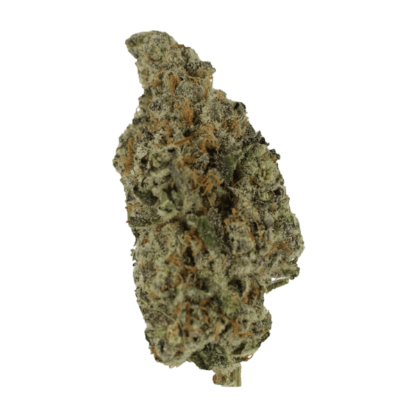 Biscotti Sundae | HighGradeAid Canada