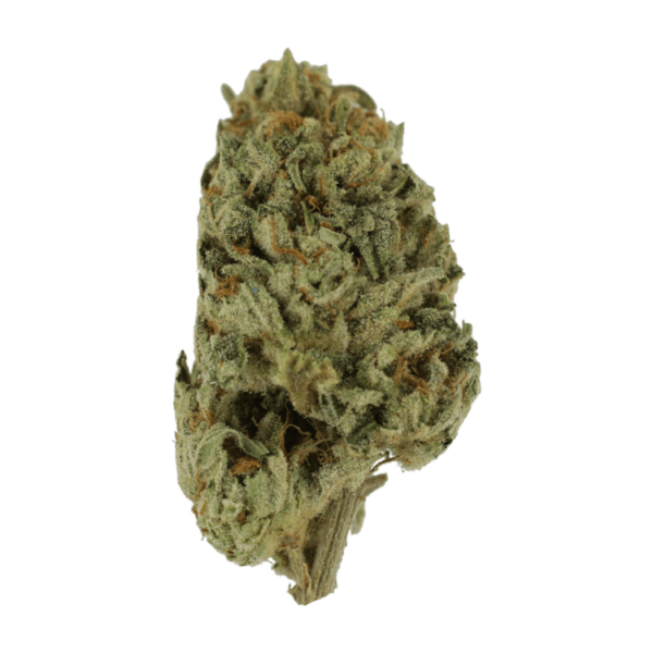 Biscotti Sundae | HighGradeAid Canada