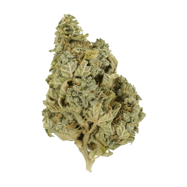 Khalifa Kush | HighGradeAid Canada