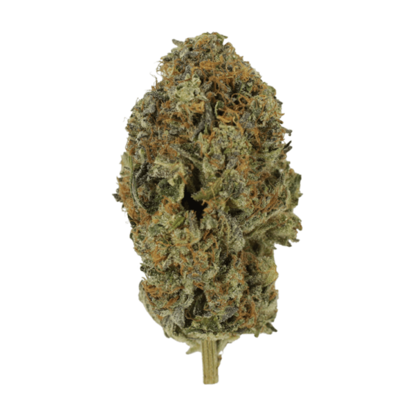 Acapulco Gold | HighGradeAid Canada