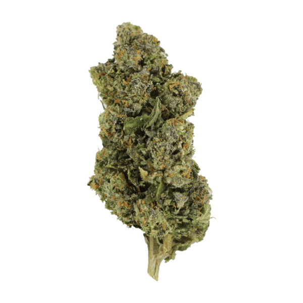 Jokerz | HighGradeAid Canada