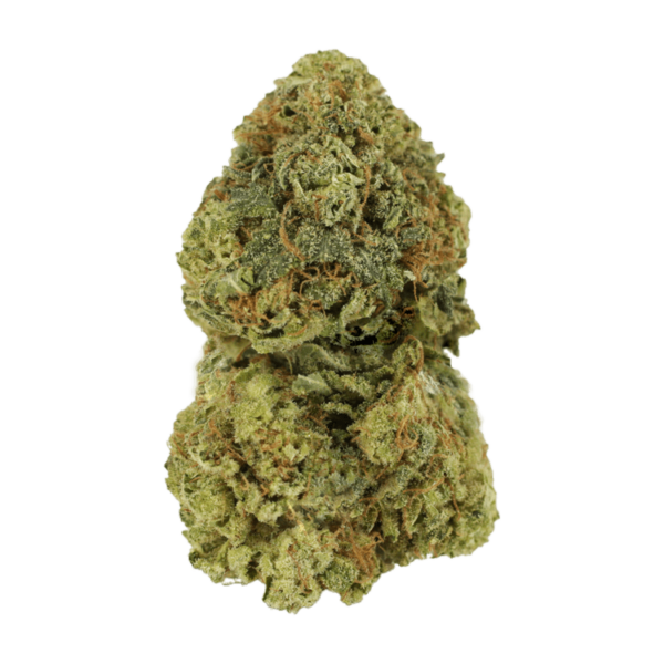 Critical Mass | HighGradeAid Canada