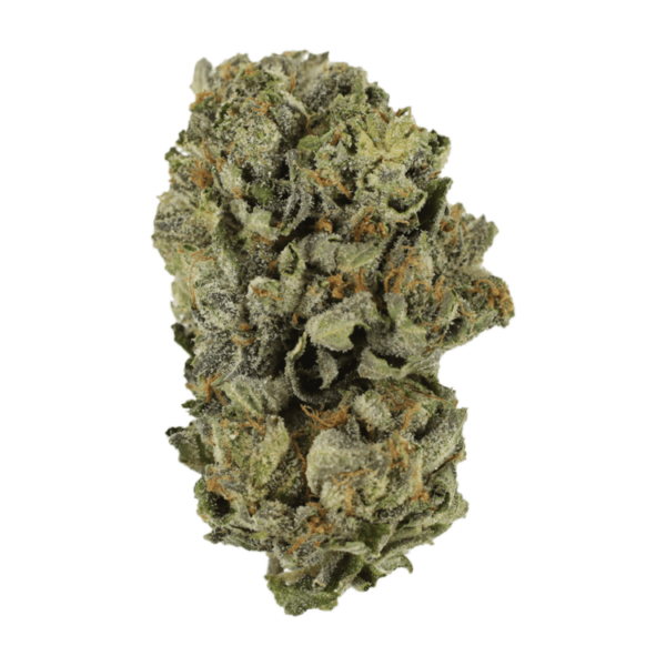 Cerebro Haze | HighGradeAid Canada