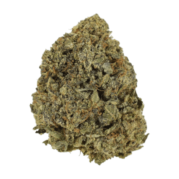 G13 | HighGradeAid Canada