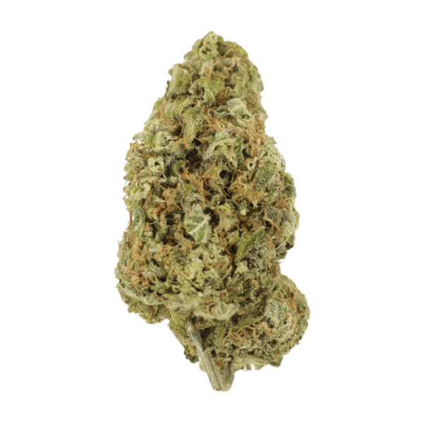 Sour Jack | HighGradeAid Canada