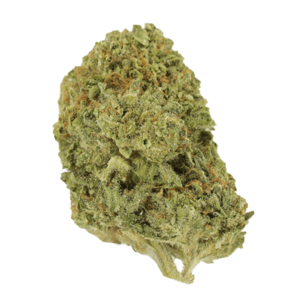 Mango Cream | HighGradeAid Canada