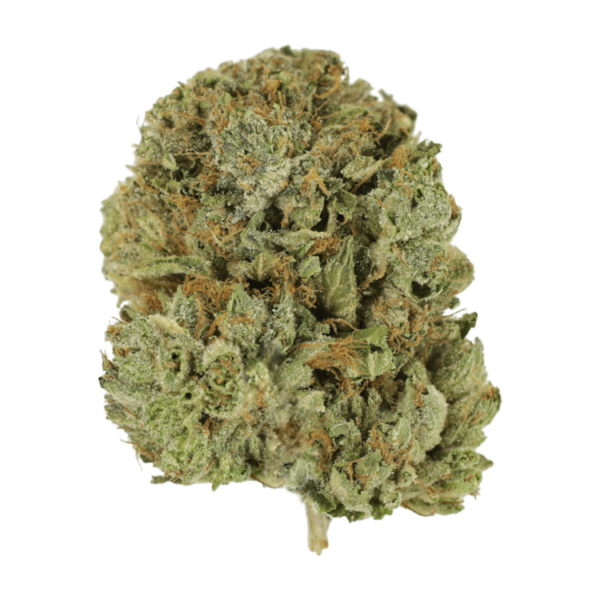 Pink Taco | HighGradeAid Canada
